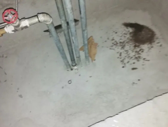 浦北卫生间测漏水价格明细