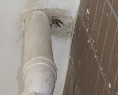 浦北漏水检测哪家好